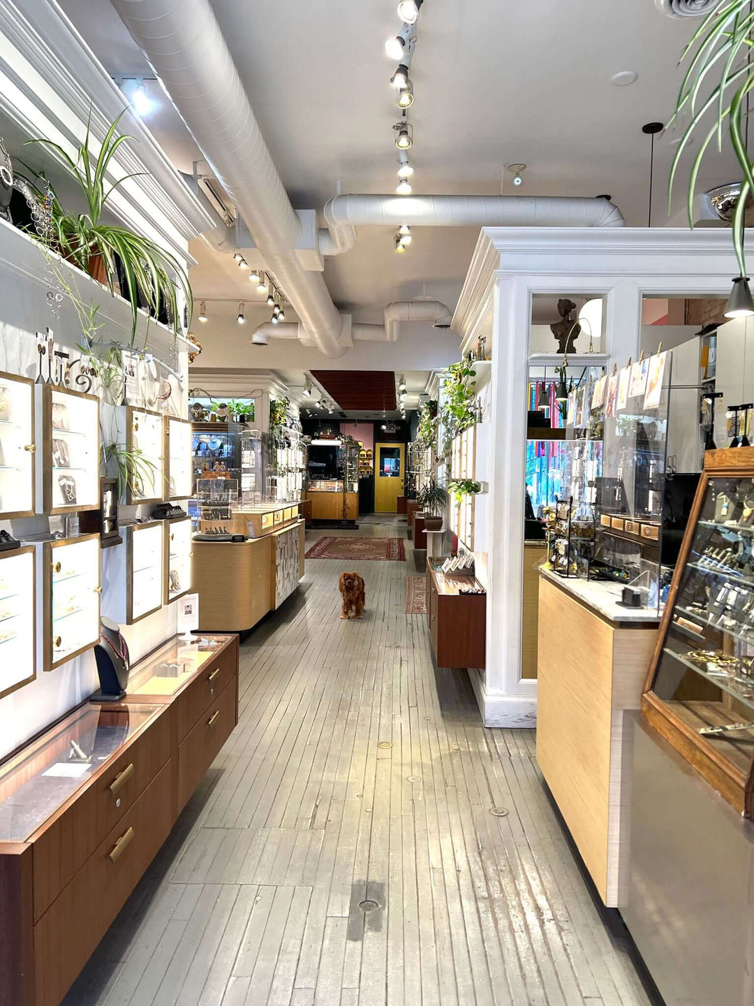 GalleryphotoSFW