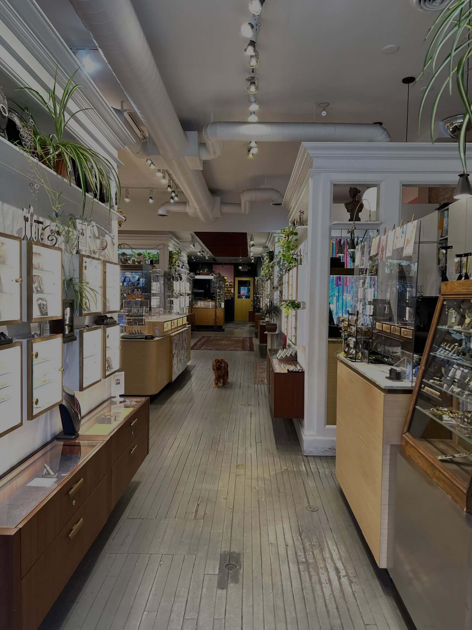 GalleryphotoSFW